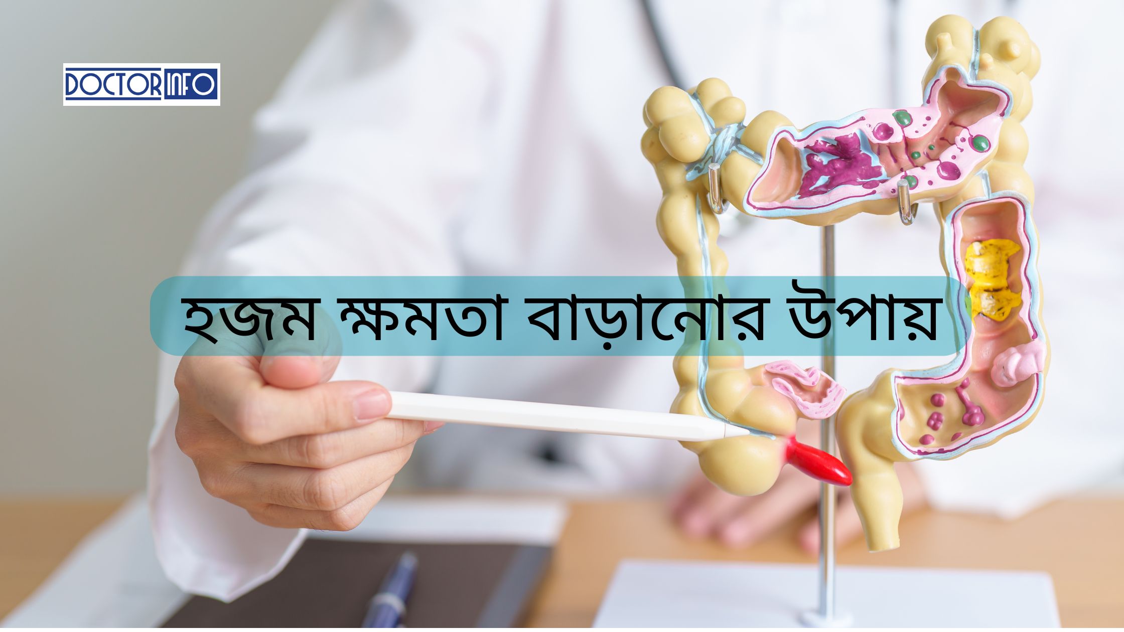 আপনার হজম ক্ষমতা বাড়ানোর ১০টি কার্যকর উপায়