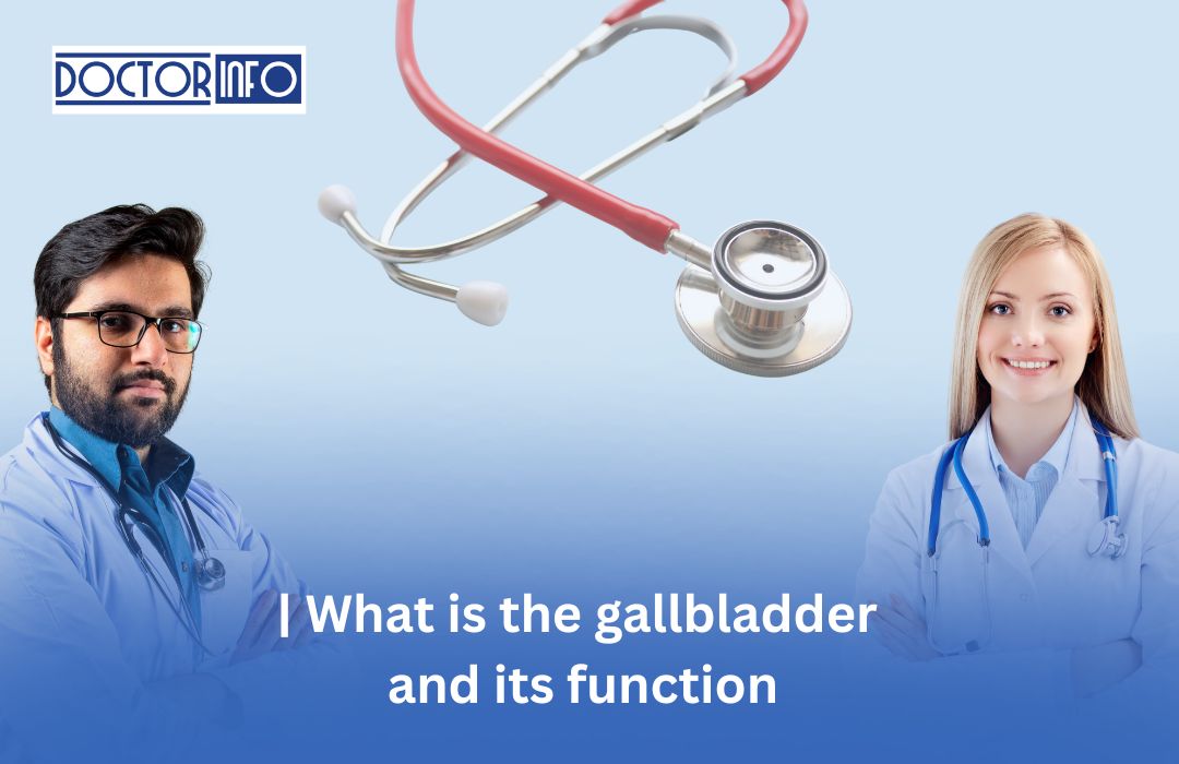 Gallbladder Function: What It Is and How It Works Now!